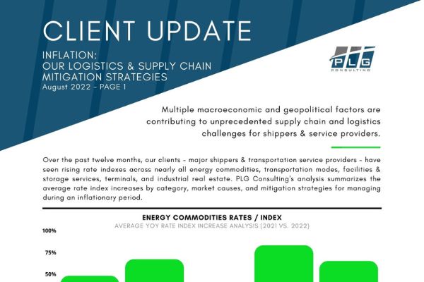 Client Update on Inflation Mitigation Strategies