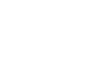 PLG Consulting logo